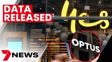 Lawyers preparing for class action against Optus as hackers release customer data | 7NEWS