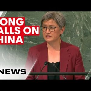 Minister for Foreign Affairs Senator Penny Wong calls on China to rein in Vladimir Putin | 7NEWS