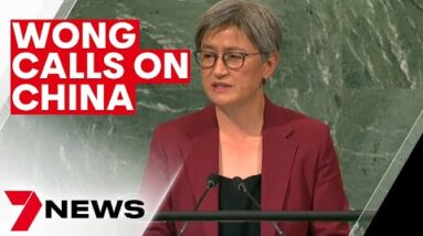 Minister for Foreign Affairs Senator Penny Wong calls on China to rein in Vladimir Putin | 7NEWS