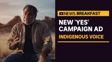 'Yes' campaign launches ad for Indigenous Voice to Parliament referendum | ABC News