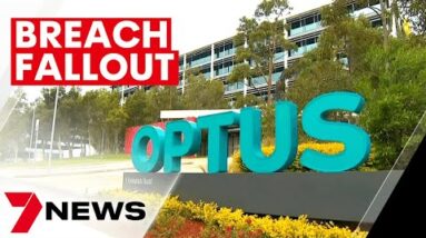 Queensland victims of Optus hacking to be offered new driver's licences | 7NEWS