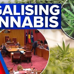 Bill to legalise cannabis in Australia could soon be introduced to parliament | 9 News Australia