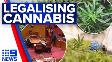 Bill to legalise cannabis in Australia could soon be introduced to parliament | 9 News Australia