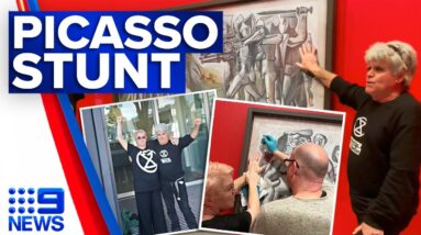 Climate protester’s warning after glueing themselves to Picasso painting | 9 News Australia