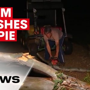 Severe thunderstorms have swept through Queensland's southeast hitting Gympie the hardest | 7NEWS