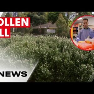 Simple pill delivering relief for thousands of hay fever and asthma sufferers  | 7NEWS
