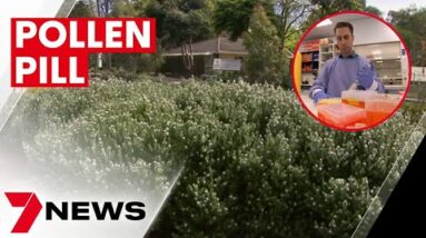 Simple pill delivering relief for thousands of hay fever and asthma sufferers  | 7NEWS