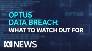 How to protect yourself in the wake of the Optus leak | ABC News