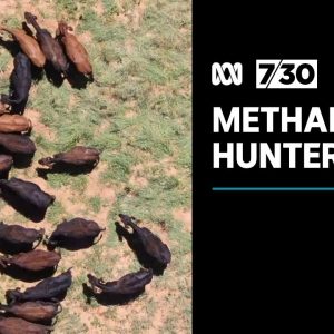 Methane: The unspoken threat to global warming | 7.30