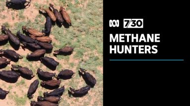 Methane: The unspoken threat to global warming | 7.30