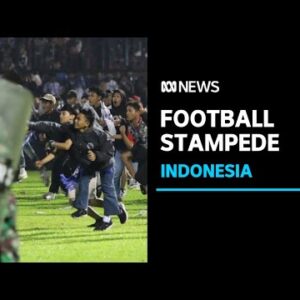 Indonesia police say 127 people killed after stampede at football match | ABC News