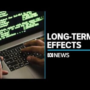 Potential long-term effects of Optus data breach | ABC News