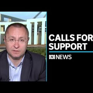 Ukraine's ambassador to Australia calls for more weapons | ABC News