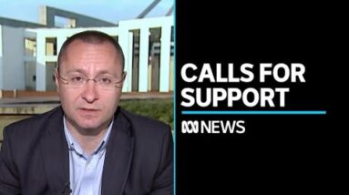 Ukraine's ambassador to Australia calls for more weapons | ABC News