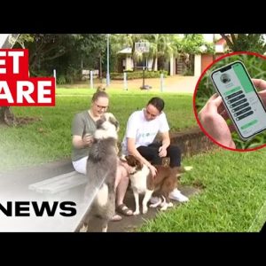 The new app promising to slash the cost of vet bills | 7NEWS