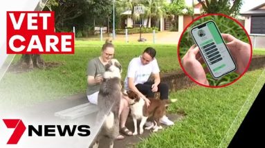 The new app promising to slash the cost of vet bills | 7NEWS