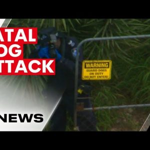 Energex worker dies after being mauled by dogs in Greenbank | 7NEWS