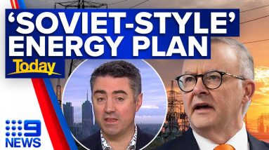 Government criticised over ‘Soviet-style’ policy amid new energy plan | 9 News Australia