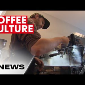 Australia's love for coffee is evolving as people make the switch back to full cream milk | 7NEWS