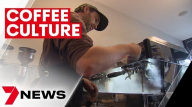 Australia's love for coffee is evolving as people make the switch back to full cream milk | 7NEWS