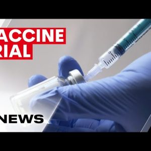 Researchers hope three-in-one jab will ease 'vaccine fatigue' | 7NEWS