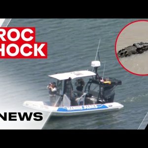 Saltwater crocodile sighting reported at North Stradbroke Island | 7NEWS