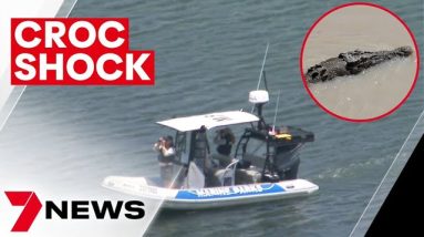 Saltwater crocodile sighting reported at North Stradbroke Island | 7NEWS