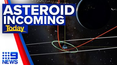 Asteroid size of ‘delivery truck’ hurtling towards Earth | 9 News Australia