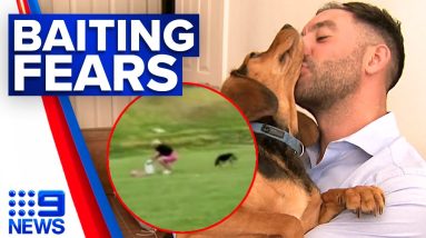 Dog walkers warned of an alleged suspected baiting incident | 9 News Australia