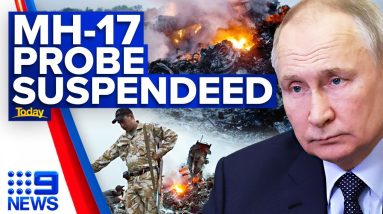 ‘Strong indications’ Putin approved use of missile which shot down MH17 | 9 News Australia