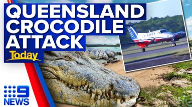 Man pries open crocodile’s jaws to release his head | 9 News Australia