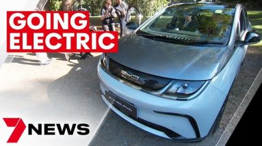 Electric BYD Dolphin car goes on sale for under $40,000 | 7NEWS