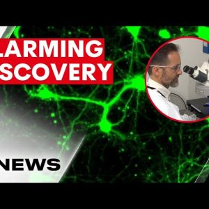 Researchers make scary discovery about impact of Long COVID on the brain | 7NEWS