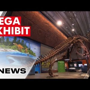 Queensland Museum uses cutting-edge technology to recreate ancient dinosaur species  | 7NEWS