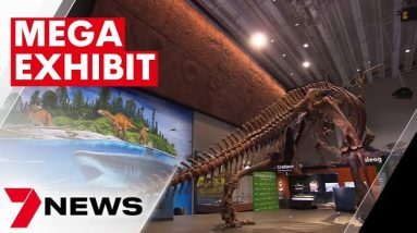 Queensland Museum uses cutting-edge technology to recreate ancient dinosaur species  | 7NEWS