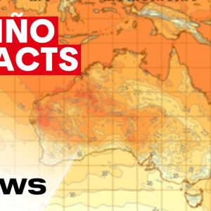 El Niño could impact the cost of food, coffee and chocolate in Australia | 7NEWS