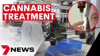 Some doctors call for medicinal marijuana to be more available to help with pain relief | 7NEWS