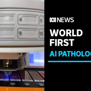 Queensland claims 'world first' in medical artificial intelligence | ABC News