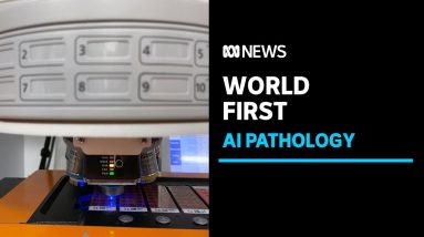 Queensland claims 'world first' in medical artificial intelligence | ABC News