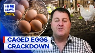 Fears price of a dozen eggs could climb as high as $15 | 9 News Australia