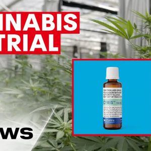 Cybis cannabis oil trial achieving positive results for Australians with back and neck pain | 7NEWS