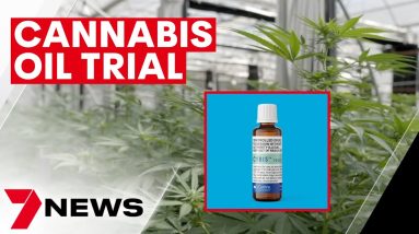 Cybis cannabis oil trial achieving positive results for Australians with back and neck pain | 7NEWS