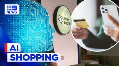 New AI tool helps consumers find the lowest price | 9 News Australia