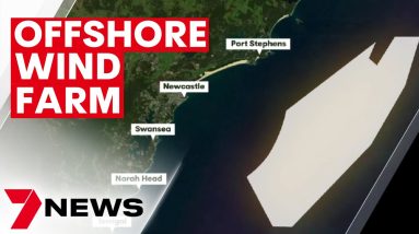 Newcastle wind farms approved by Minister for Climate Change and Energy Chris Bowen | 7NEWS