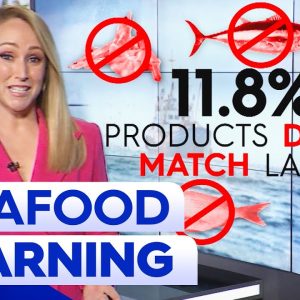 New Australian study finds one in 10 Seafood products mislabelled | 9 News Australia