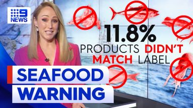 New Australian study finds one in 10 Seafood products mislabelled | 9 News Australia