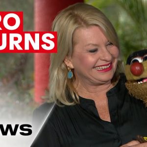 Famous puppet Agro makes a comeback with Ranger Stacey | 7NEWS