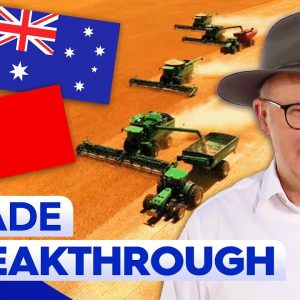 China removes massive tariffs on Australian barley in major trade breakthrough | 9 News Australia