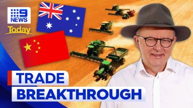 China removes massive tariffs on Australian barley in major trade breakthrough | 9 News Australia