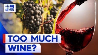 China tariff lift on Australian wine leaves industry in oversupply | 9 News Australia